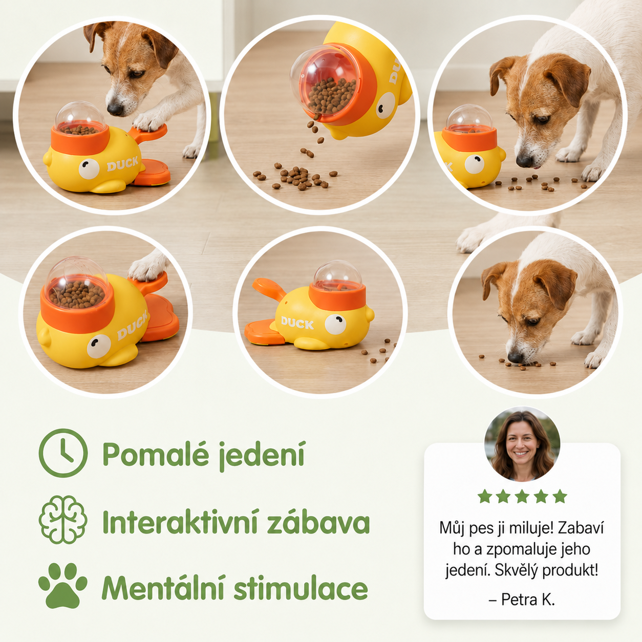 Interaktivní krmítko pro psy a kočky
