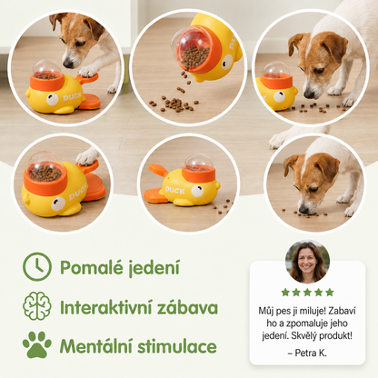 Interaktivní krmítko pro psy a kočky